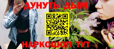 СК Гатчина