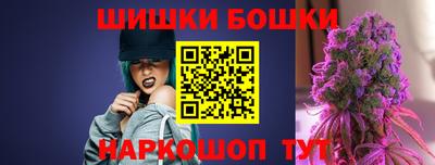 СК Гатчина