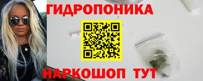СК Гатчина