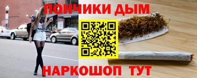 СК Гатчина