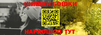 СК Гатчина