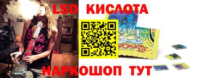 СК Гатчина