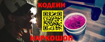 СК Гатчина
