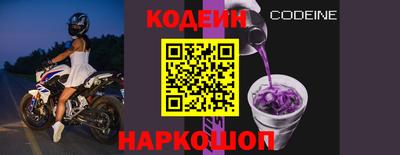 СК Гатчина