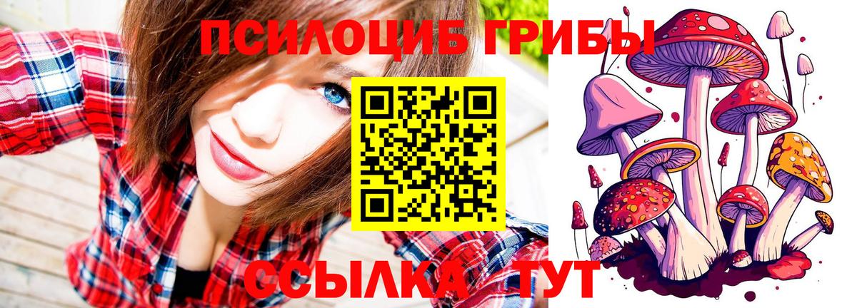 Галлюциногенные грибы мицелий Юрга