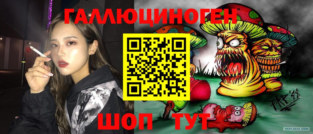 Юрга  Псилоцибиновые грибы прущие грибы  дарнет шоп  Псилоцибиновые грибы Cubensis  Вход с VPN 